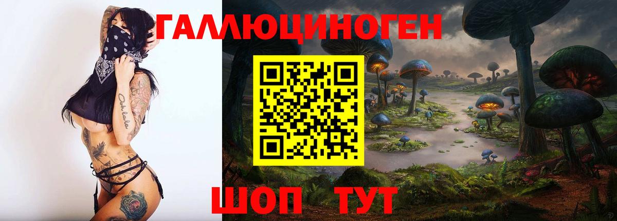 Псилоцибиновые грибы мицелий Магнитогорск