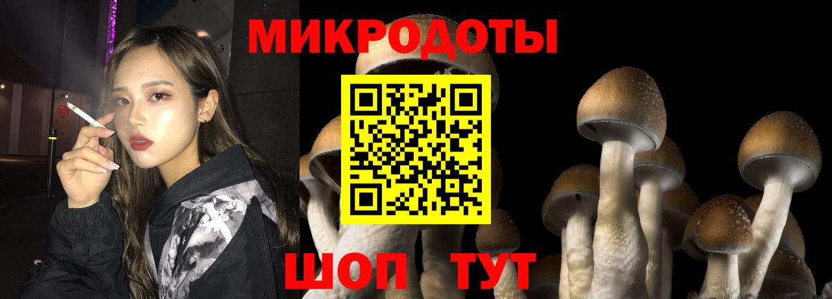 Магнитогорск  Псилоцибиновые грибы ЛСД  Вход с VPN  Галлюциногенные грибы мицелий 